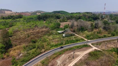 Tranquil Countryside Road Stock Footage 305312664