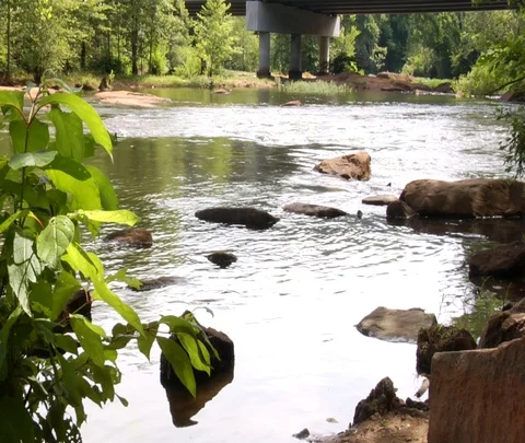 A tranquil creek flows Stock Footage 128130789