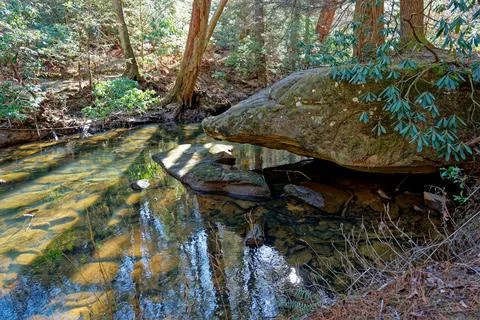 Tranquil creek setting Stock Photos