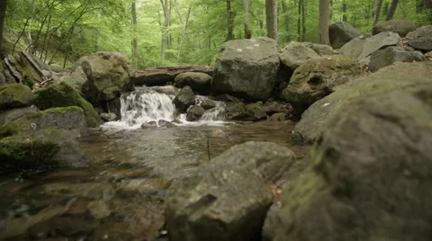 Tranquil Creek Waterfall Stock Footage 50999780