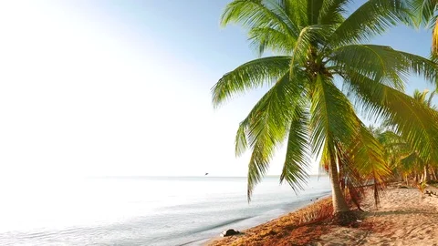 Tranquil Daylight High Key Scene from the Beach Stock Footage 74003381