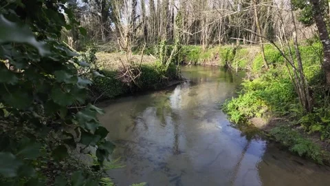 A tranquil dirt path on the Camino de Santiago runs alongside a calm river, surr Stock Footage 304182455
