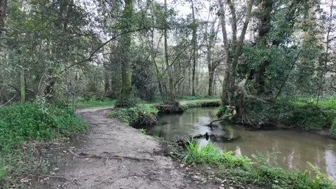 A tranquil dirt path on the Camino de Santiago runs alongside a calm river, surr Stock Footage 304182456