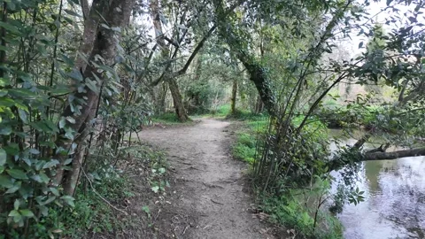 A tranquil dirt path on the Camino de Santiago runs alongside a calm river, surr Stock Footage 304182458