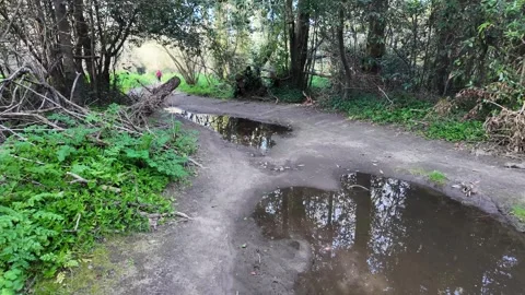 A tranquil dirt path on the Camino de Santiago runs alongside a calm river, surr Stock Footage 304182460
