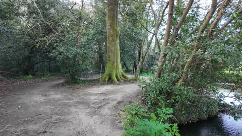 A tranquil dirt path on the Camino de Santiago runs alongside a calm river, surr Stock Footage 304182461
