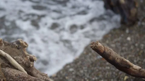 Tranquil Driftwood on Pebbly Beach Captures Serenity of Coastal Nature Видео 331691828