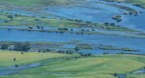 Tranquil Drone Flight Over a Picturesque Summer River Stock Footage 301805501