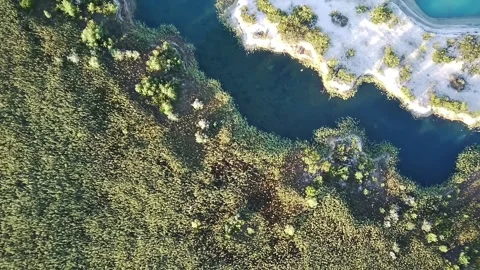 Tranquil Drone View of Lush Green Landscape by Turquoise Lake. Video stock 316173296