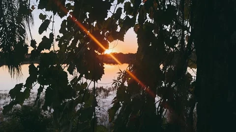 Tranquil Dusk Over a Lake with Trees | Stunning Evening Reflection Stock Footage 295529390
