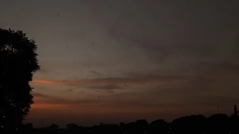 Tranquil dusk scene featuring a vibrant orange and red skyline Video stock 313286152