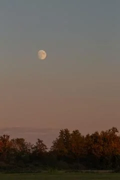 Tranquil evening landscape with full moon and dark forest Stock Photos