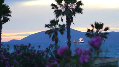 A tranquil evening scene featuring silhouettes of palms and distant flowers.. Stock Footage 292754969
