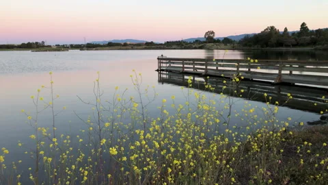 Tranquil evening, Shoreline at Mountain View Stock Footage 256498587