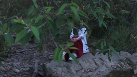 Tranquil Evening in Warrandyte Park, Melbourne Twilight Vídeo Stock 331018402