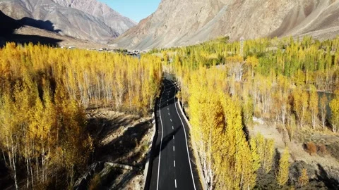 Tranquil fall scenery in Ladakh featuring golden poplars and blue streams. Stock Footage 310781982