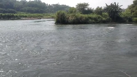 The Tranquil Flow of the Gila River Stock Footage 337879626