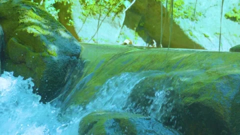 Tranquil Flow: Water Gently Cascading Over Moss-Covered Rocks Stock Footage 282081004