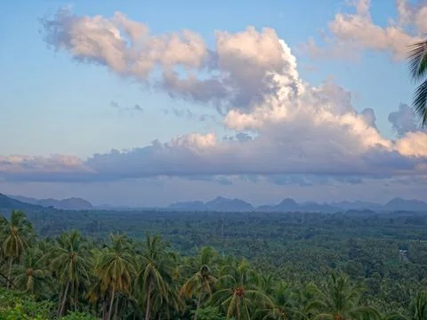 Tranquil fluffy cloud over the tropical mountain at sunrise in Thailand Stock Photos