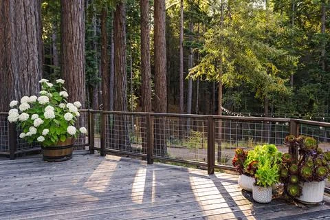 Tranquil Forest Deck with Potted Plants Stock Photos