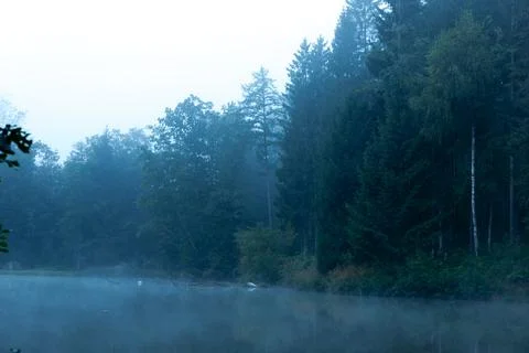 Tranquil forest lake Stock-Fotos