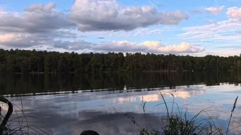 Tranquil Forest Lake with Reflections, Slow Pan, Summer Vídeo Stock 342852615