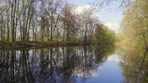 Tranquil forest lake with reflections of trees and clouds Stockbeeldmateriaal 273855234