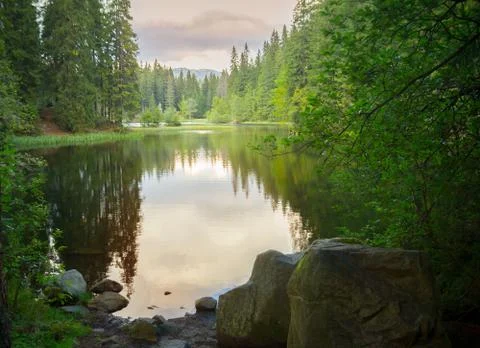 Tranquil forest lake sunset Stock Photos