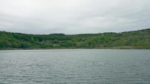 Tranquil forest lake with trees and mild wind, beautiful natural greenery Stock Footage 263932131