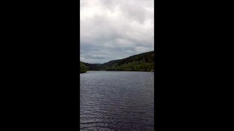 Tranquil Forest Lake Under Cloudy Sky Stock Footage 310326687