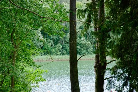 Tranquil forest lake view with lush greenery and trees. Weekend concept near  Stock Photos