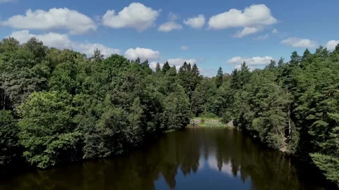 Tranquil Forest Lake with Water Reflection - HD Video Video stock 341761117