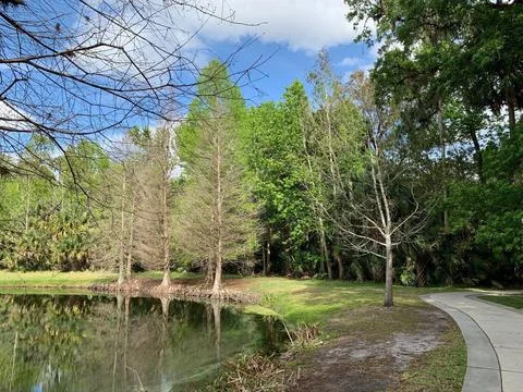 Tranquil Forest Park Trail Stock Photos