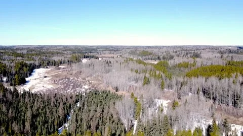Tranquil Forest Path: Aerial View of Dirt Road Alongside Small River Stock Footage 270689129