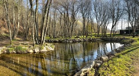 Tranquil Forest Pond with Bare Winter Trees and Stone Border Stock Photos