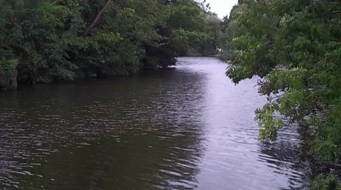 Tranquil Forest River Stock-Footage 8535429