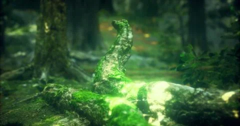 Tranquil forest scene with moss covered logs illuminated by soft light Stock Illustration