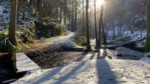 Tranquil forest scene river and wooden bridge snow Vídeos de archivo 232015717