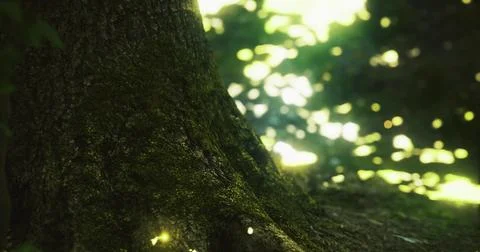 Tranquil forest scene with sun rays illuminating tree roots in nature Stock Illustration