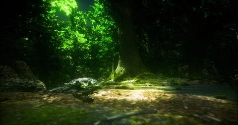 Tranquil forest scene with sunlight filtering through vibrant leaves Stock Illustration