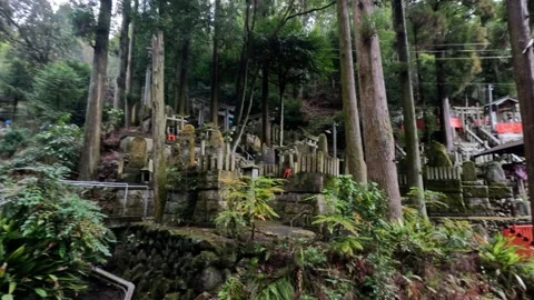 Tranquil Forest Shrine Walkthrough Vídeos de archivo 289171416