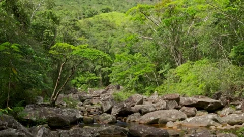 Tranquil Forest Stream and Mountain Aerial View with Lush Greenery Vídeos de archivo 332727225
