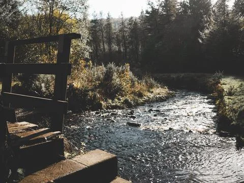 Tranquil forest stream flowing under wooden bridge in autumn sunlight. Entw.. Stock Photos