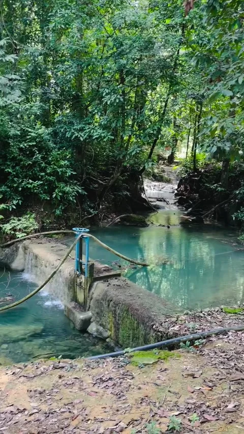 Tranquil Forest Stream with a Small Concrete Dam Stock Footage 341318204