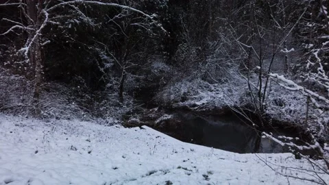 Tranquil Forest Stream with Snowy Landscape of Oregon Woodlands, Handheld Stock Footage 171931430