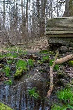 Tranquil Forest Stream with Wooden Structure Amidst Lush Early Spring Foliage. Stock Photos