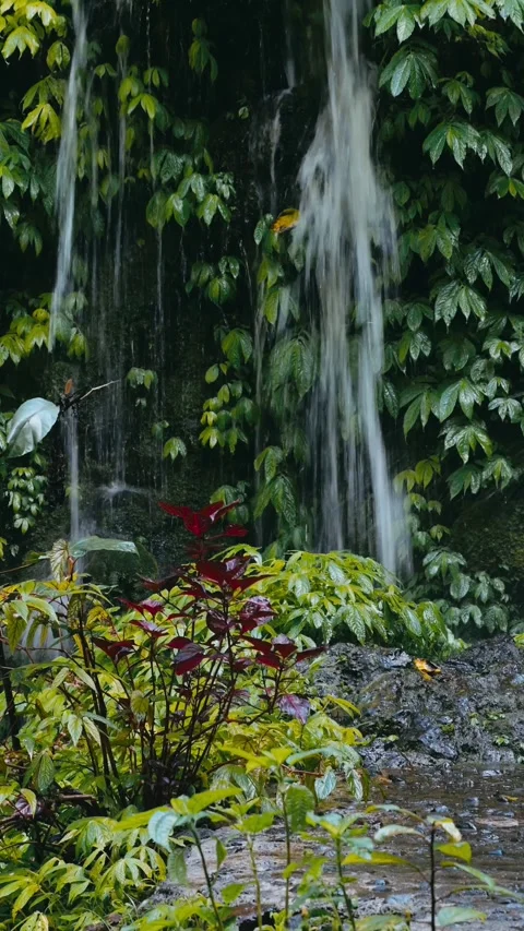 Tranquil Forest Waterfall Amid Abundant Greenery And Blooming Flowers Видео 331099010