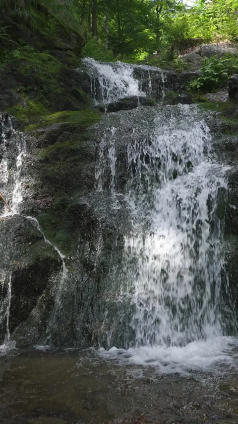 Tranquil Forest Waterfall Cascade in Mountains Stream, Peaceful Vertical Nature Stock Footage 313830065