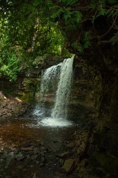 Tranquil Forest Waterfall Cascading Over Mossy Rock Cliff Stock Photos