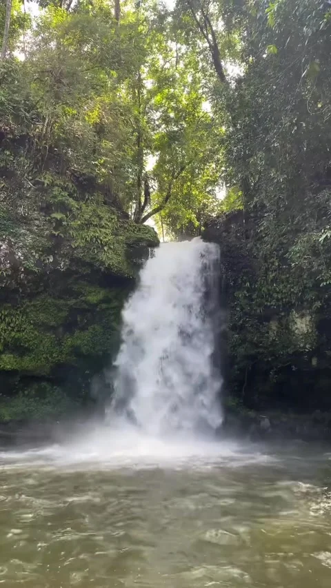 Tranquil Forest Waterfall Cascading into Pool Vídeos de archivo 340238441